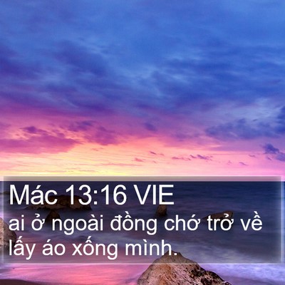 Mác 13:16 VIE Bible Verse Image
