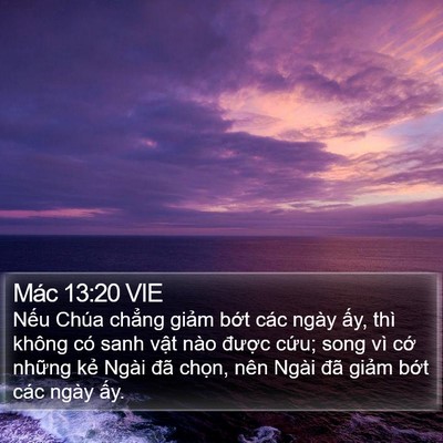 Mác 13:20 VIE Bible Verse Image