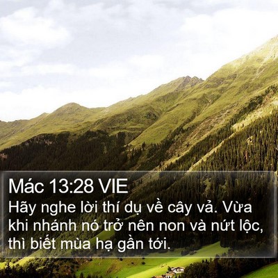 Mác 13:28 VIE Bible Verse Image