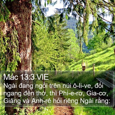 Mác 13:3 VIE Bible Verse Image