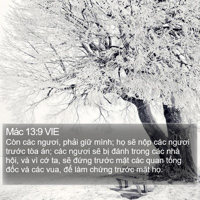 Mác 13:9 VIE Bible Verse Image