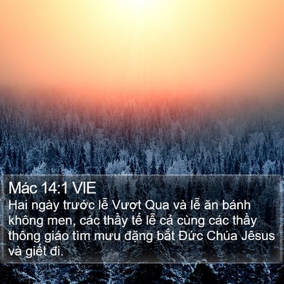 Mác 14:1 VIE Bible Verse Image