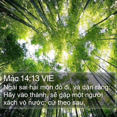 Mác 14:13 VIE Bible Verse Image