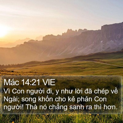 Mác 14:21 VIE Bible Verse Image