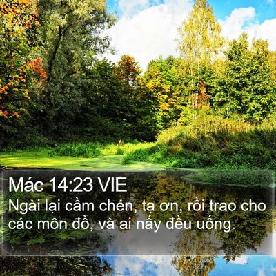 Mác 14:23 VIE Bible Verse Image