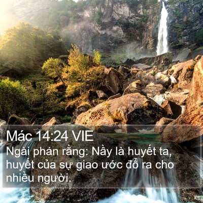 Mác 14:24 VIE Bible Verse Image