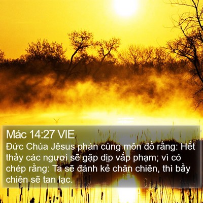 Mác 14:27 VIE Bible Verse Image