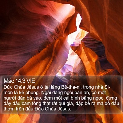Mác 14:3 VIE Bible Verse Image