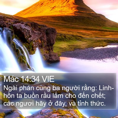 Mác 14:34 VIE Bible Verse Image