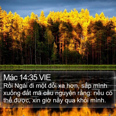 Mác 14:35 VIE Bible Verse Image