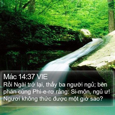Mác 14:37 VIE Bible Verse Image
