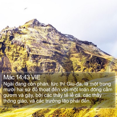 Mác 14:43 VIE Bible Verse Image
