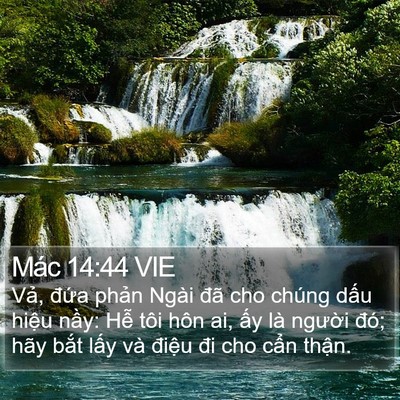 Mác 14:44 VIE Bible Verse Image