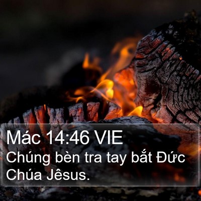 Mác 14:46 VIE Bible Verse Image