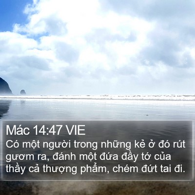 Mác 14:47 VIE Bible Verse Image