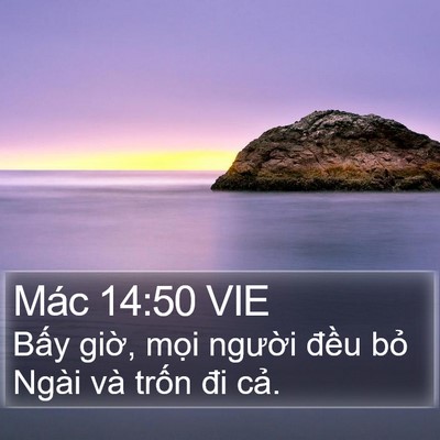 Mác 14:50 VIE Bible Verse Image