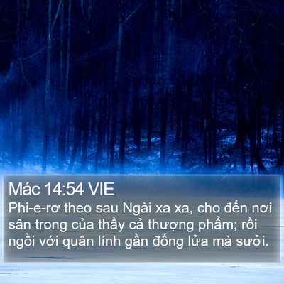 Mác 14:54 VIE Bible Verse Image