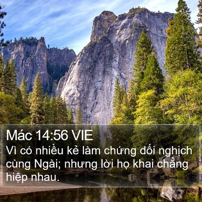 Mác 14:56 VIE Bible Verse Image