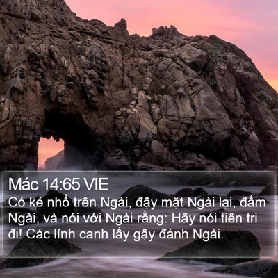 Mác 14:65 VIE Bible Verse Image