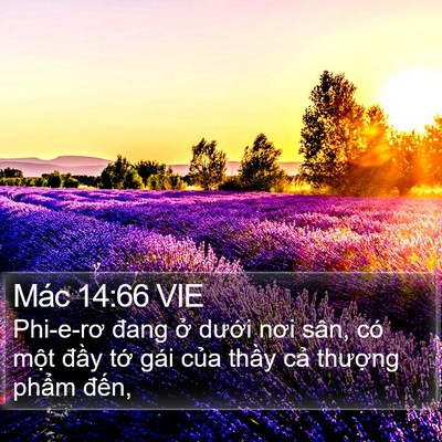 Mác 14:66 VIE Bible Verse Image
