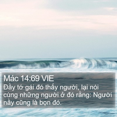 Mác 14:69 VIE Bible Verse Image