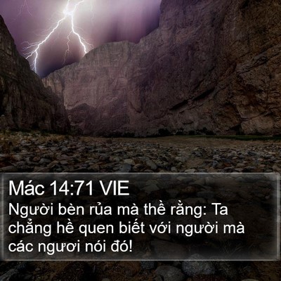 Mác 14:71 VIE Bible Verse Image