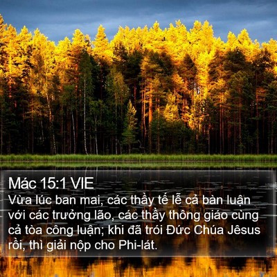 Mác 15:1 VIE Bible Verse Image
