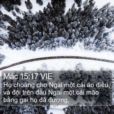 Mác 15:17 VIE Bible Verse Image