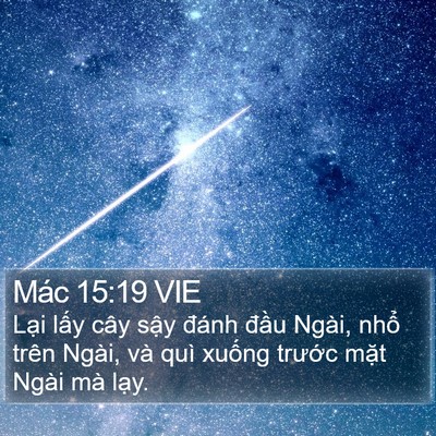 Mác 15:19 VIE Bible Verse Image