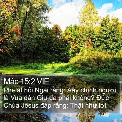 Mác 15:2 VIE Bible Verse Image