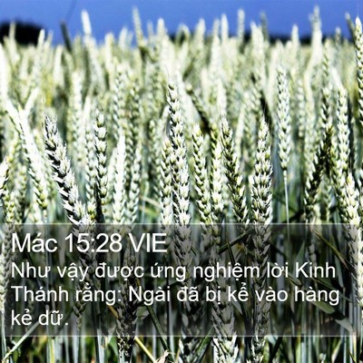 Mác 15:28 VIE Bible Verse Image