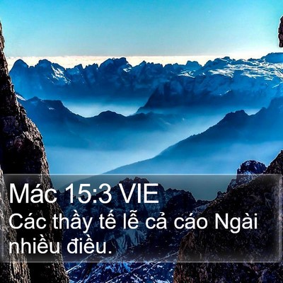 Mác 15:3 VIE Bible Verse Image