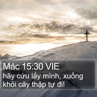 Mác 15:30 VIE Bible Verse Image