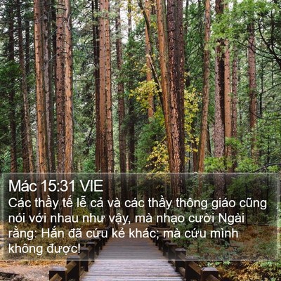 Mác 15:31 VIE Bible Verse Image
