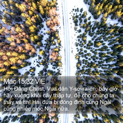 Mác 15:32 VIE Bible Verse Image