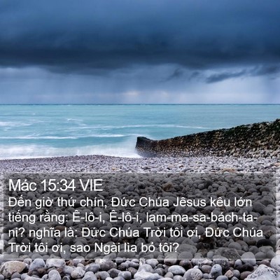 Mác 15:34 VIE Bible Verse Image