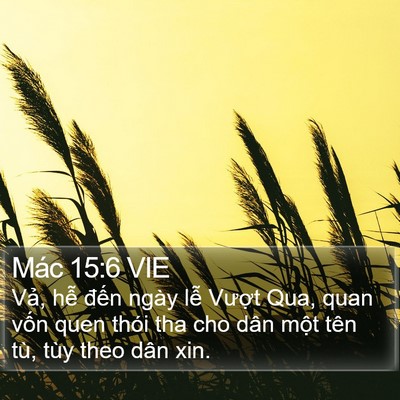 Mác 15:6 VIE Bible Verse Image