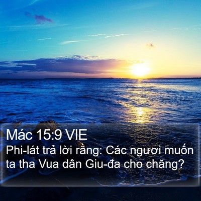 Mác 15:9 VIE Bible Verse Image