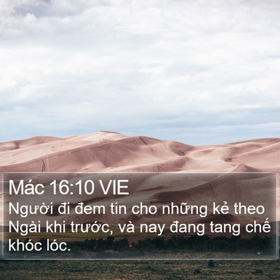 Mác 16:10 VIE Bible Verse Image
