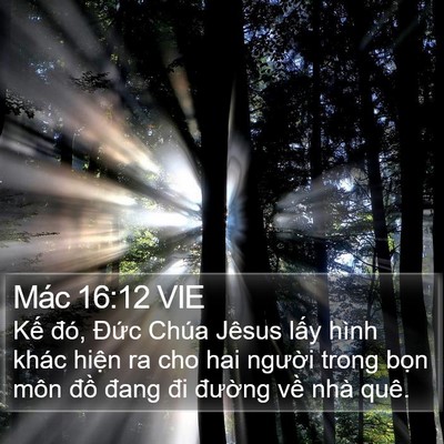 Mác 16:12 VIE Bible Verse Image