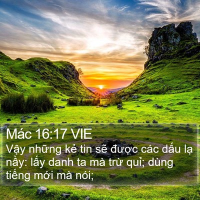 Mác 16:17 VIE Bible Verse Image