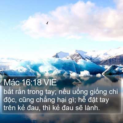 Mác 16:18 VIE Bible Verse Image
