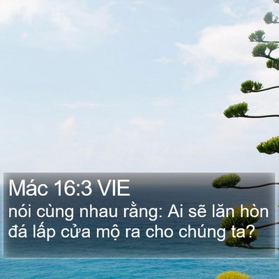 Mác 16:3 VIE Bible Verse Image