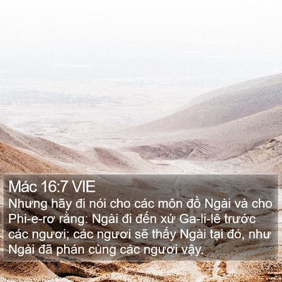 Mác 16:7 VIE Bible Verse Image