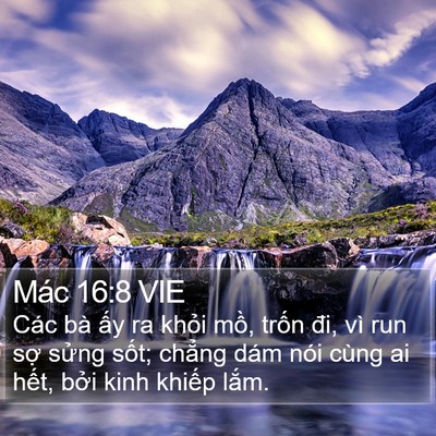 Mác 16:8 VIE Bible Verse Image