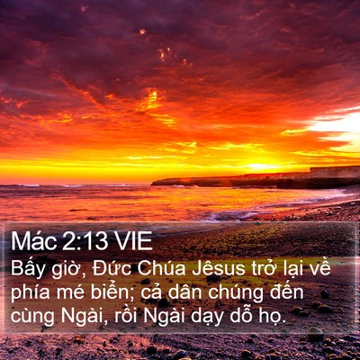 Mác 2:13 VIE Bible Verse Image