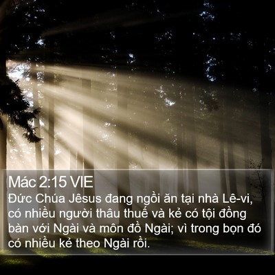 Mác 2:15 VIE Bible Verse Image
