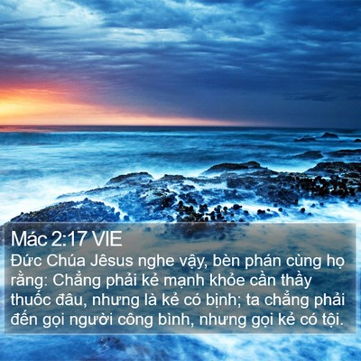 Mác 2:17 VIE Bible Verse Image