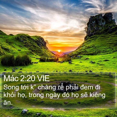 Mác 2:20 VIE Bible Verse Image