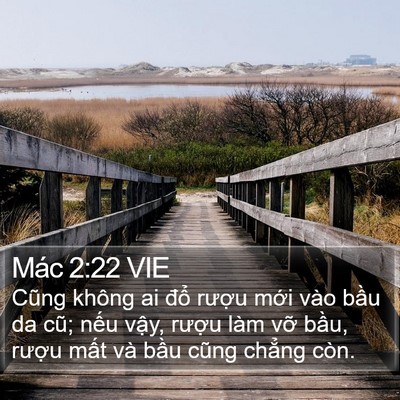 Mác 2:22 VIE Bible Verse Image